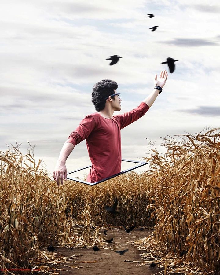 Creative levitation composite of a student emerging from a field